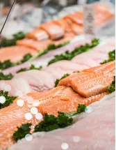 Frozen Fish and Seafood Market by End-user, Distribution Channel and Geography - Forecast and Analysis 2023-2027