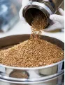 Industrial Food Dryer Market by Product and Geography - Forecast and Analysis 2021-2025