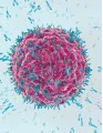 Immunoprotein Diagnostic Testing Market by End-user, Application, and Geography - Forecast and Analysis 2021-2025