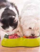 Organic Pet Food Market by Product, Animal Type, Distribution Channel, and Geography - Forecast and Analysis 2023-2027