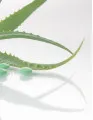 Botanical and Plant-Derived Drugs Market by Product, Application and Geography - Forecast and Analysis 2023-2027