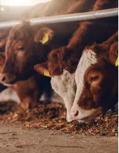 Livestock Feeding Systems Market by Application, Technology and Geography - Forecast and Analysis 2023-2027