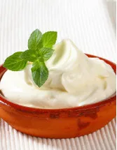 Fromage Frais and Quark Market by Application and Geography - Forecast and Analysis 2021-2025