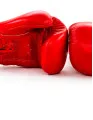 Boxing Equipment Market by Product, Distribution Channel, and Geography - Forecast and Analysis 2023-2027