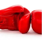 Boxing Equipment Market by Product, Distribution Channel, and Geography - Forecast and Analysis 2023-2027