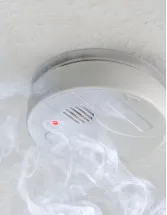 Residential Smart Smoke Detectors Market by Type and Geography - Forecast and Analysis 2021-2025
