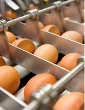 Egg Processing Equipment Market Analysis North America,Europe,APAC,South America,Middle East and Africa - US,Canada,China,Japan,France - Size and Forecast 2023-2027