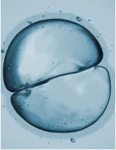Cell Imagers Market by Product and Geography - Forecast and Analysis 2021-2025