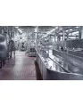 Industrial Food Blanchers Market by Type and Geography - Forecast and Analysis 2021-2025