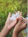 Agricultural Biotechnology Market by Technology, Application, and Geography - Forecast and Analysis 2022-2026