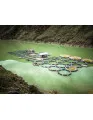 Aquaculture Market in Indonesia by Environment, Product, and Geography - Forecast and Analysis 2021-2025