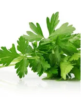 Parsley Market by Product, Distribution Channel, and Geography - Forecast and Analysis 2023-2027