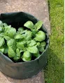 Agricultural Grow Bags Market by Raw Material and Geography - Forecast and Analysis 2021-2025