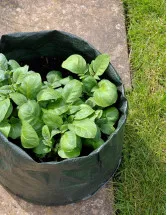 Agricultural Grow Bags Market Analysis North America, Europe, APAC, Middle East and Africa, South America - US, China, India, France, Brazil - Size and Forecast 2024-2028