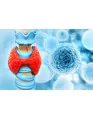 Laryngeal Cancer Therapeutics Market by Type and Geography - Forecast and Analysis 2021-2025