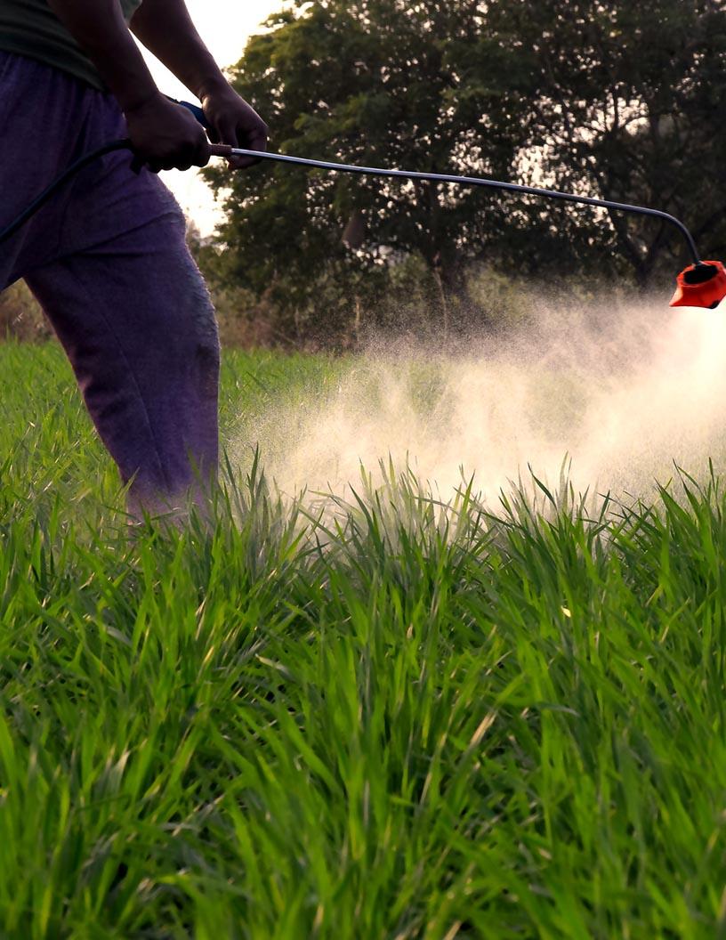Biopesticides Market Analysis, Size, and Forecast 2025-2029: North America (US and Canada), Europe (France, Germany, Italy, and UK), Middle East and Africa (Egypt, KSA, Oman, and UAE), APAC (China, India, and Japan), South America (Argentina and Brazil), and Rest of World (ROW)