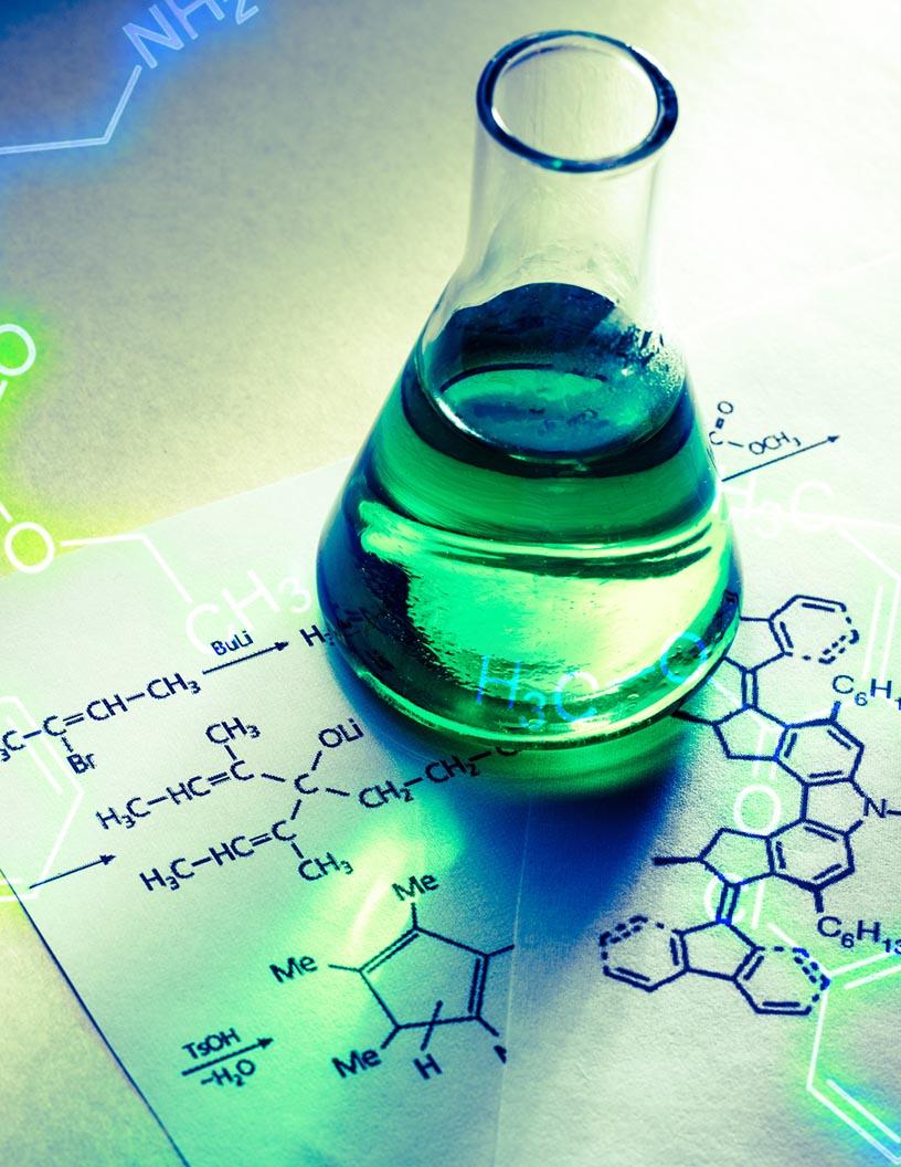 Polyphenol Market Analysis, Size, and Forecast 2025-2029: APAC (China, India, Japan, South Korea), Europe (France, Germany, Italy, UK), North America (US), South America (Brazil), and Middle East and Africa