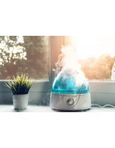 Intelligent Humidifiers Market Growth, Size, Trends, Analysis Report by Type, Application, Region and Segment Forecast 2021-2025