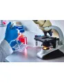In-vitro Colorectal Cancer Screening Tests Market by End-user and Geography - Forecast and Analysis 2021-2025