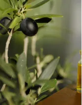 Olive Leaf Extract Market Analysis Europe, Middle East and Africa, North America, APAC, South America - US, Turkey, Spain, Italy, Portugal - Size and Forecast 2023-2027
