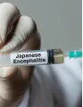 Japanese Encephalitis Vaccines Market by Type and Geography - Forecast and Analysis 2022-2026