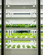Ventilation and Air Conditioning Market for Indoor Agriculture by Product, Type, and Geography - Forecast and Analysis 2022-2026