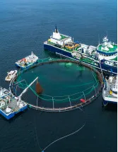 Aquaculture Cages Market by Application, Environment and Geography - Forecast and Analysis 2023-2027