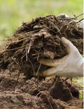 Biofertilizers Market by Application, Product and Geography - Forecast and Analysis 2023-2027
