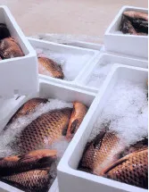 Fish Box Market by Application, Material and Geography - Forecast and Analysis 2023-2027