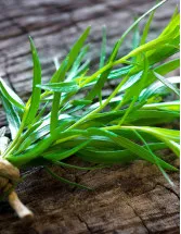 Tarragon Market by Product and Geography - Forecast and Analysis 2022-2026