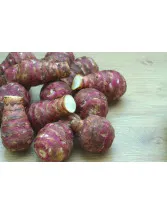 Inulin Market by Application and Geography - Forecast and Analysis 2021-2025