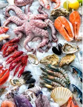 Fresh Fish and Seafood Market by Distribution Channel and Geography - Forecast and Analysis 2021-2025