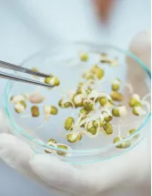 Genetically Modified (GM) Seeds Market, Type, and Geography - Forecast and Analysis 2023-2027