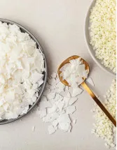 Polyethylene Wax Market by Application and Geography - Forecast and Analysis 2021-2025