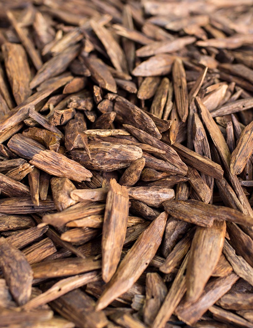 Agarwood Essential Oil Market Analysis, Size, and Forecast 2024-2028: North America (Mexico), Europe (France, Germany, Italy, Spain, and UK), Middle East and Africa (UAE), APAC (Australia, China, India, Japan, and South Korea), South America (Brazil), and Rest of World (ROW)