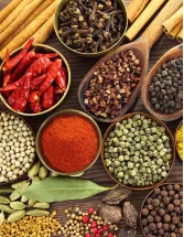India Blended Spices Market by Distribution Channel, Type, and Geography - Forecast and Analysis 2022-2026