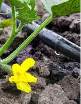 Drip Irrigation Systems Market Analysis APAC, Europe, North America, South America, Middle East and Africa - US, Canada, China, Japan, France - Size and Forecast 2024-2028
