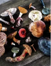 Medicinal Mushrooms Market by Usage, Product and Geography - Forecast and Analysis 2023-2027