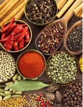 Spices Market Analysis APAC, North America, Europe, South America, Middle East and Africa - US, China, India, UK, Germany - Size and Forecast 2024-2028