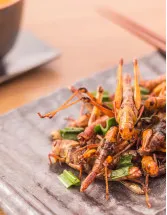 Edible Insects Market Analysis APAC, North America, Europe, Middle East and Africa, South America - US, China, Thailand, South Korea, UK - Size and Forecast 2023-2027