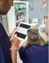 Veterinary Software Market Analysis North America,Europe,APAC,Middle East and Africa,South America - US,China,Germany,UK,France - Size and Forecast 2023-2027