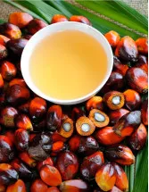 Palm Oil Market by Application, Type, and Geography - Forecast and Analysis 2023-2027