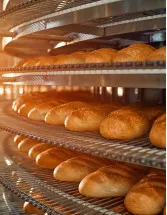 Industrial Bakery Ovens Market by Product and Geography - Forecast and Analysis 2021-2025