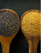 Oilseeds Market by Type and Geography - Forecast and Analysis 2022-2026