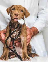 Canine Atopic Dermatitis Market by Product and Geography - Forecast and Analysis 2022-2026