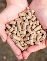 Compound Feed Market in Vietnam by Production Type and Product Type - Forecast and Analysis 2022-2026
