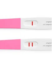 Animal Pregnancy Test Kit Market by Product and Geography - Forecast and Analysis 2022-2026