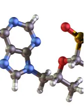 North America - Arachidonic Acid Market by Application and Source- Forecast and Analysis 2024-2028