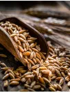 Farro Market Analysis Europe, North America, Middle East and Africa, APAC, South America - US, Italy, France, Germany, Switzerland - Size and Forecast 2024-2028