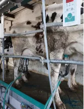 Automatic Milking Machines Market by Product, Mobility Type, and Geography - Forecast and Analysis 2022-2026